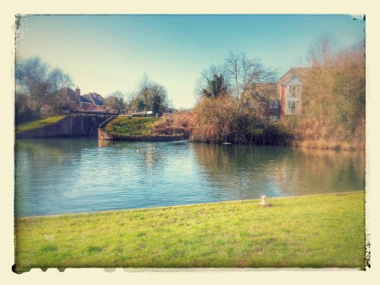 Aldermaston Wharf Canalside